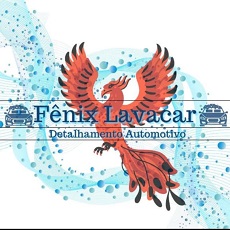 Fênix Lava Car